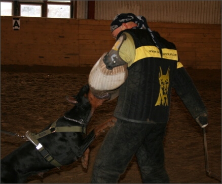 Training in Estonia 11/2007